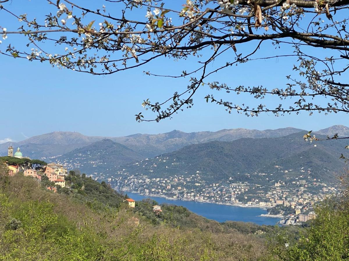 Liguria Home 4 - Recco Centro A 2 Minuti Dal Mare ภายนอก รูปภาพ
